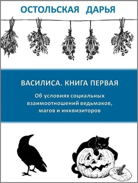 Дарья Остольская Об условиях социальных взаимоотношений ведьмаков, магов и инквизиторов (СИ) обложка книги