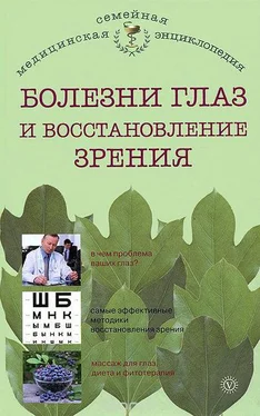 И. Исаева Болезни глаз и восстановление зрения обложка книги