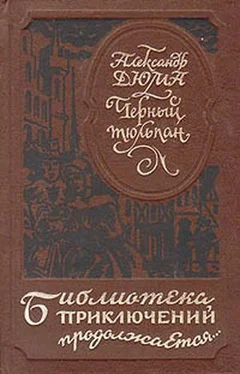 Александр Дюма Черный тюльпан (др. изд.) обложка книги