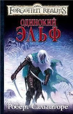 Роберт Сальваторе Одинокий эльф обложка книги