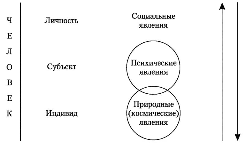 Рис 1Модель человека Н М Пейсахов Класс природных явленийЭтот класс - фото 1
