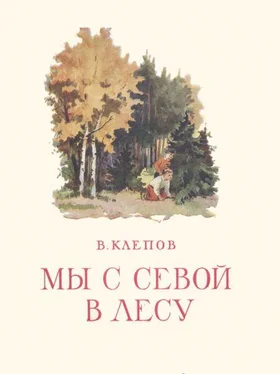 Василий Клепов Мы с Севой в лесу обложка книги