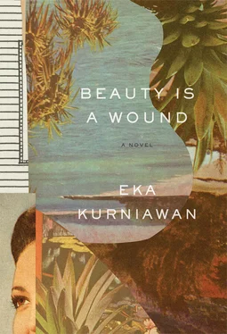 Eka Kurniawan Beauty is a Wound обложка книги