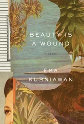 Eka Kurniawan - Beauty is a Wound