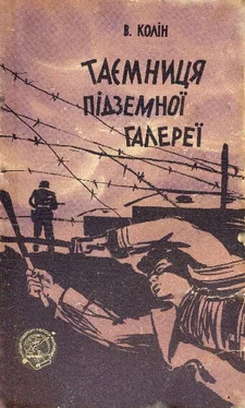 Владимир Колин Таємниця підземної галереї обложка книги