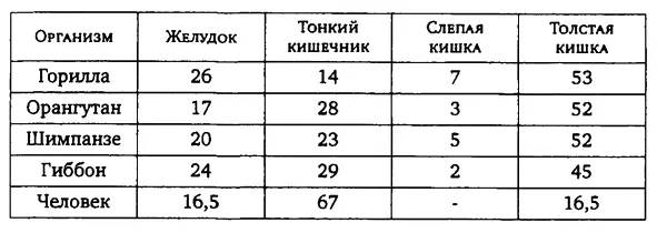 Некоторые биологи полагают что у наших далеких доисторических предков - фото 4
