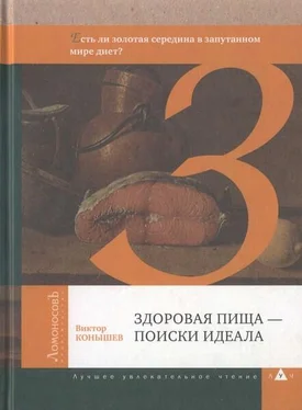 Виктор Конышев Здоровая пища — поиски идеала. Есть ли золотая середина в запутанном мире диет? обложка книги