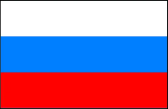 Герб и флаг Российской Федерации Медаль Суворова Орден За заслуги перед - фото 219