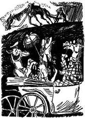 Михаил Сальтыков-Щедрин - Коняга