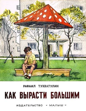 Рафаил Тухватулин Как вырасти большим обложка книги