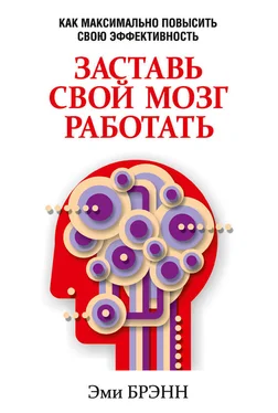 Эми Брэнн Заставь свой мозг работать. Как максимально повысить свою эффективность обложка книги