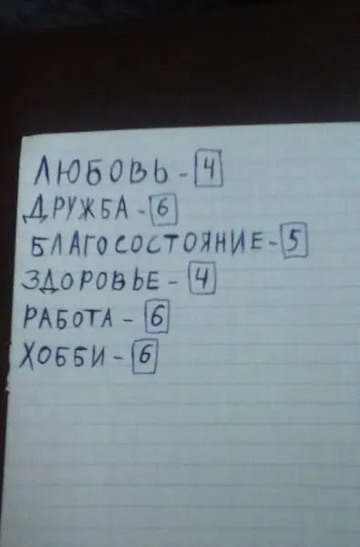 Далее Рисуем вот такую схему На нее переносим все наши шесть сфер жизни а - фото 3