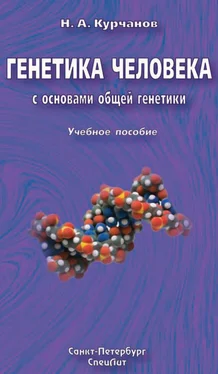 Николай Курчанов Генетика человека с основами общей генетики. Учебное пособие