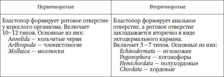 Анализируя систему царства животных необходимо отметить что ряд малочисленных - фото 28