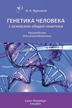 Николай Курчанов Генетика человека с основами общей генетики. Руководство для самоподготовки обложка книги