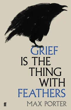 Max Porter Grief is the Thing with Feathers