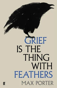 Max Porter Grief is the Thing with Feathers обложка книги