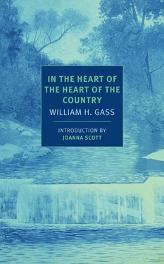 William Gass In the Heart of the Heart of the Country обложка книги