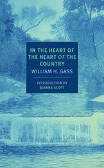 William Gass - In the Heart of the Heart of the Country
