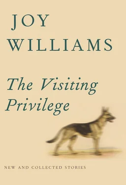 Joy Williams The Visiting Privilege: New and Collected Stories обложка книги