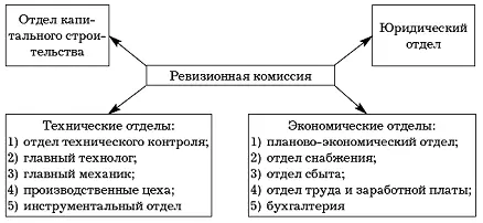Рис 2 Работа ревизионной комиссии Особенностью такой организации внутреннего - фото 2