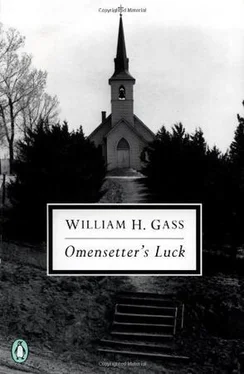 William Gass Omensetter’s Luck обложка книги