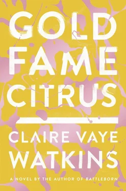 Claire Watkins Gold Fame Citrus обложка книги