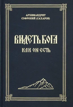 Софроний Сахаров Видеть Бога как Он есть обложка книги