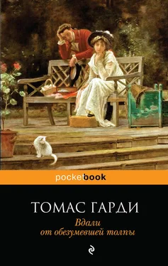 Томас Гарди Вдали от обезумевшей толпы обложка книги