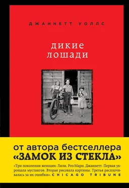 Джаннетт Уоллс Дикие лошади. У любой истории есть начало обложка книги