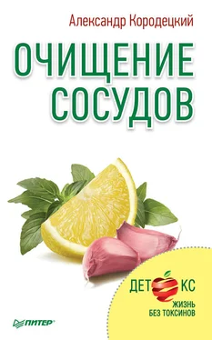 Александр Кородецкий Очищение сосудов обложка книги