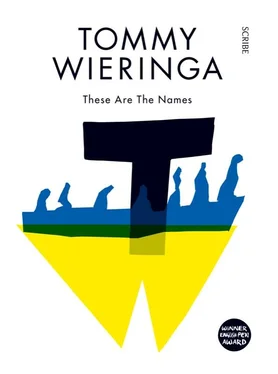 Tommy Wieringa These Are the Names обложка книги