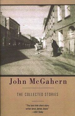 John McGahern The Collected Stories обложка книги