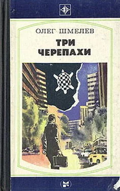 Олег Шмелев Три Черепахи обложка книги