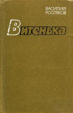 Василий Росляков Витенька обложка книги