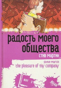 Стив Мартин «Радость моего общества» обложка книги