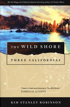 Kim Robinson The Wild Shore обложка книги