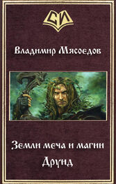Владимир Мясоедов: Земли меча и магии. Друид