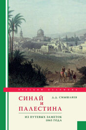 Дмитрий Смышляев: Синай и Палестина. Из путевых заметок 1865 года