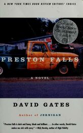 David Gates: Preston Falls