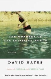 David Gates: The Wonders of the Invisible World