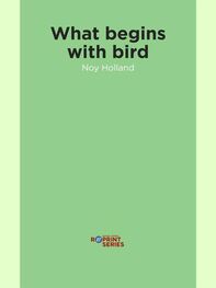 Noy Holland: What begins with bird