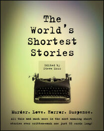 Джейн Орвис: Самые короткие и трогательные рассказы в мире