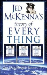 Джед МакКенна: Теория Всего Просветленная перспектива