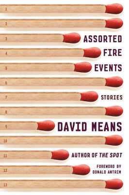 David Means Assorted Fire Events: Stories