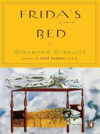 Slavenka Drakulic: Frida's Bed