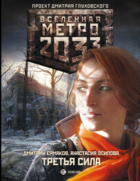 Дмитрий Ермаков: Метро 2033: Третья сила