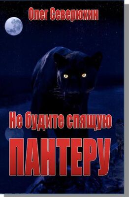 Олег Северюхин Не будите спящую пантеру