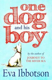 Eva Ibbotson: One Dog and His Boy