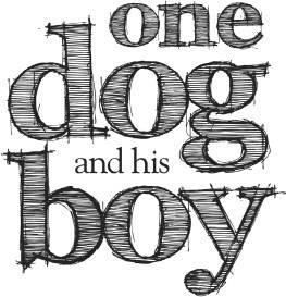 One Dog and His Boy by Eva Ibbotson To Milly Hugo and Hilding three very - фото 1